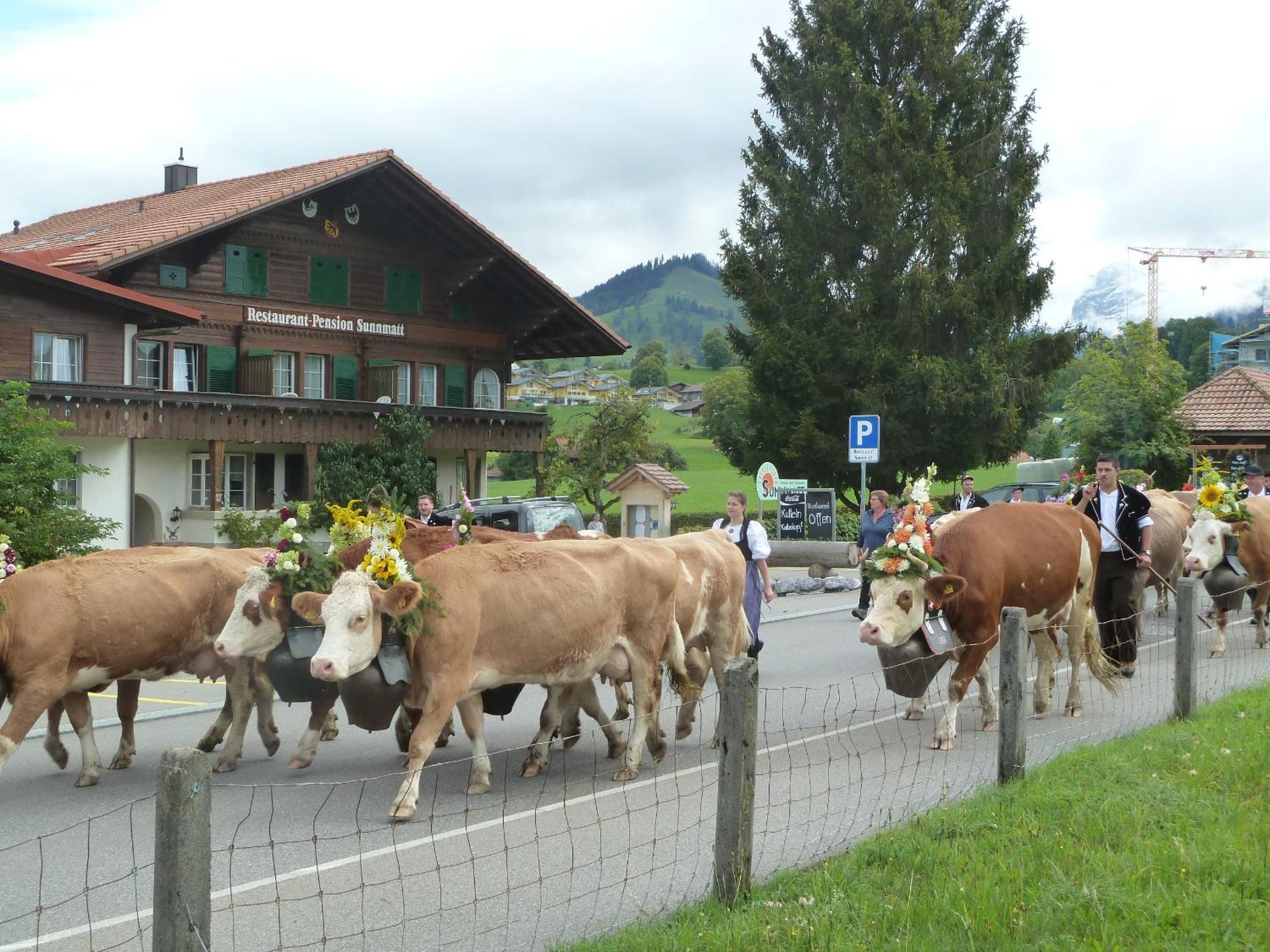 Hotel Restaurant Sunnmatt Aeschi Bei Spiez Εξωτερικό φωτογραφία