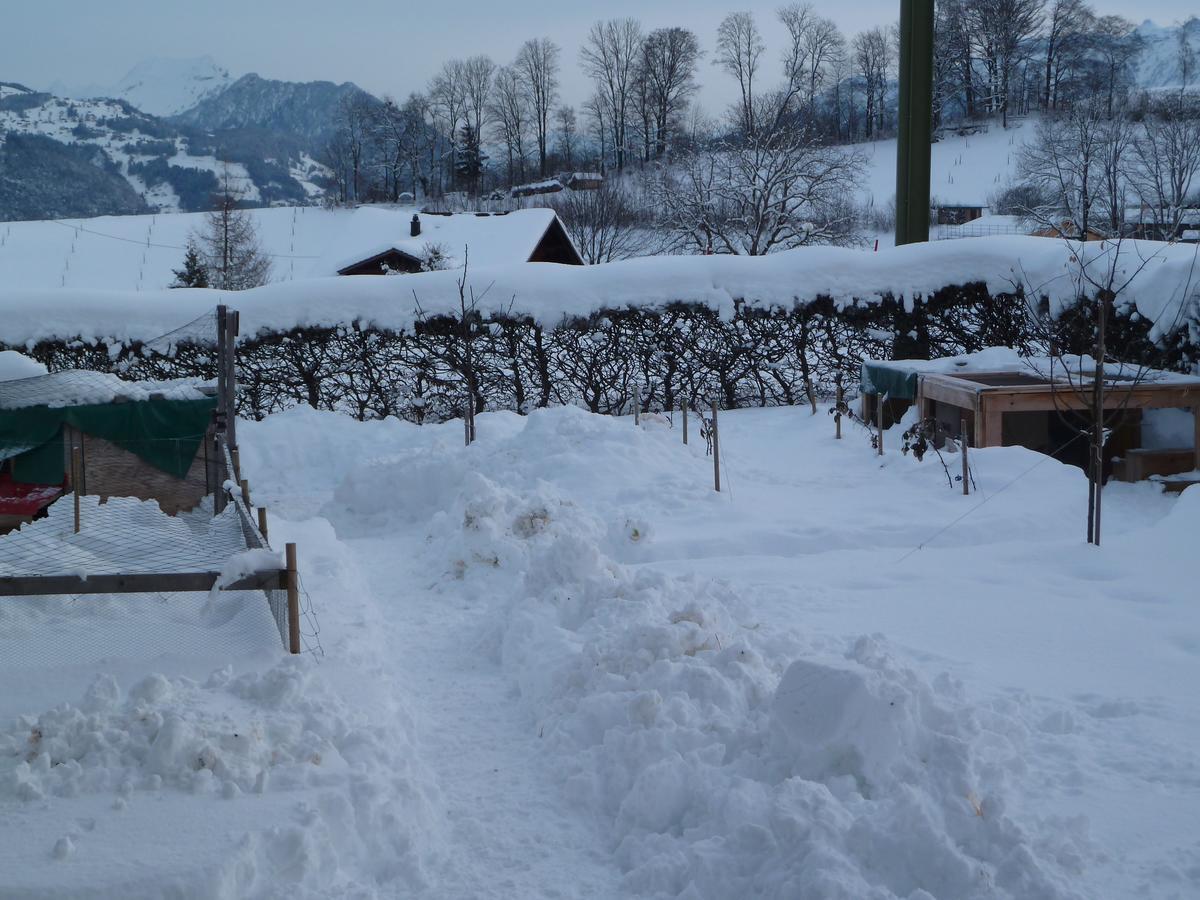 Hotel Restaurant Sunnmatt Aeschi Bei Spiez Εξωτερικό φωτογραφία